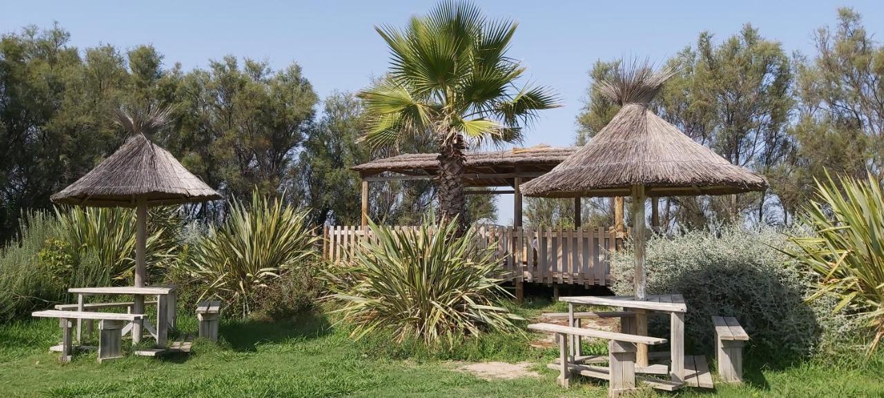 Les Pieds Dans L'eau A ! A 50 M ! Mhome 6 Pers Climatise T Confort 4 Etoiles 4* Palavas-les-Flots