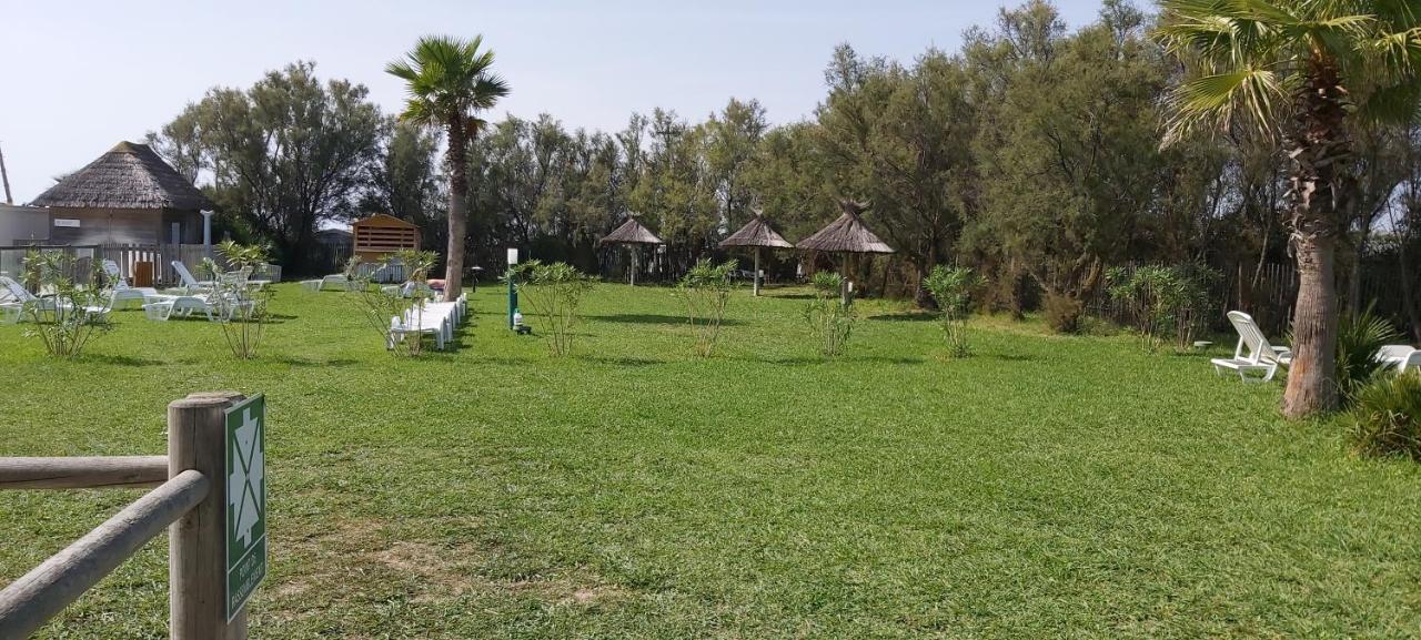 Les Pieds Dans L'eau A ! A 50 M ! Mhome 6 Pers Climatise T Confort 4 Etoiles 4* Palavas-les-Flots